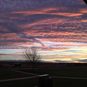 Meet your Posher, Joyce